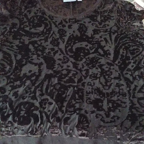 Simply Vera Wang,Size XL,Black sheer blouse - Picture 1 of 6